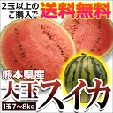熊本県産 スイカ 1玉(7〜8kg)