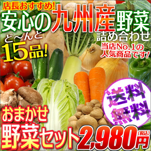 【15品】おまかせ詰め合わせ九州野菜セット【送料無料】