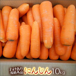 【クール便価格】<strong>にんじん</strong>10kg 農薬不使用　化学肥料不使用 わけあり　規格外品　人参　　<strong>にんじん</strong>ジュースに最適　ニンジンおすすめの産地の発送　※ <strong>無農薬</strong><strong>にんじん</strong> <strong>無農薬</strong>人参 の表記は ガイドラインにおいて 禁止されています