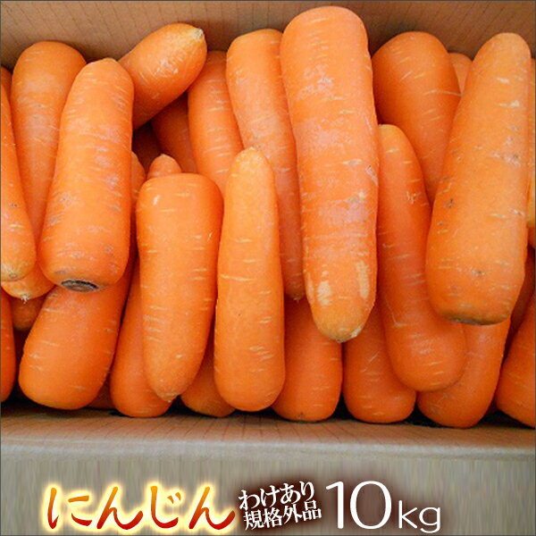 【わけあり】熊本県産　農薬不使用人参10kg箱【規格外品】