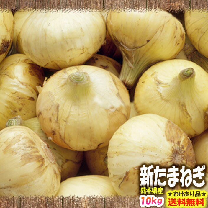 【わけあり】【送料無料】熊本県産　新たまねぎ　10kg【サラたま】【玉ねぎ】【玉葱】 - おやさい村