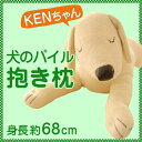 犬のパイル抱き枕 （KENちゃん） 【犬のぬいぐるみ/キャラクター/マスコット/かわいい/プレゼント/ギフト/グッズ/クッション/Cushion】【だきまくら/抱枕/抱きまくら】【枕/まくら】【setsuden_bedding】