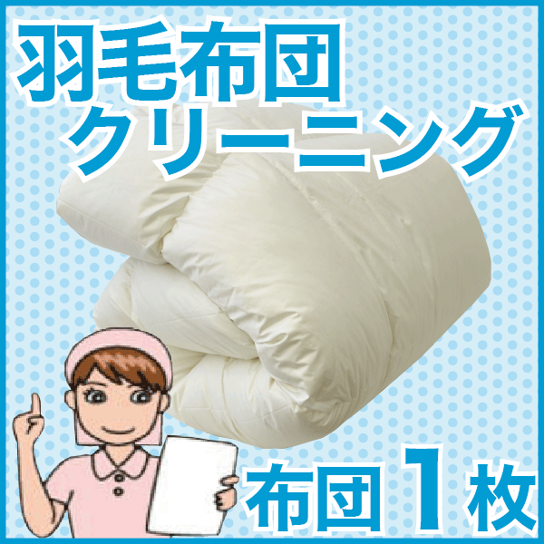 羽毛布団クリーニング・丸洗い（フレスコeパック）　1枚用 はじめて＆リピーターさま共用【布団丸洗い】【宅配サービス】【送料無料】【setsuden_bedding】