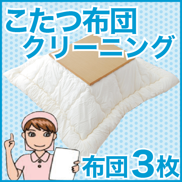 こたつ布団クリーニング・丸洗い（フレスコeパック）　3枚用 はじめてのお客さま用【布団丸洗い】【宅配サービス】【送料無料】【setsuden_bedding】