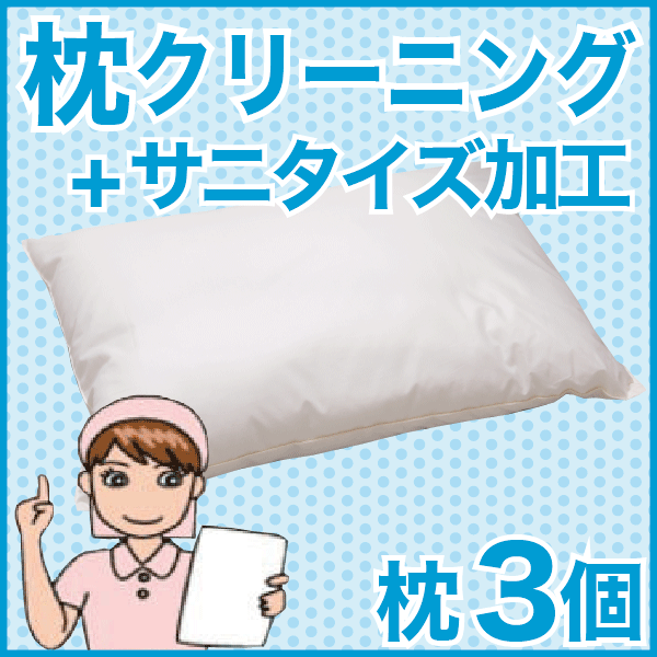 まくらクリーニング・丸洗い（フレスコeパック） 3点用 【枕丸洗い】【宅配サービス】【送料無料】【枕 まくら ピロー pillow 寝具】【setsuden_bedding】