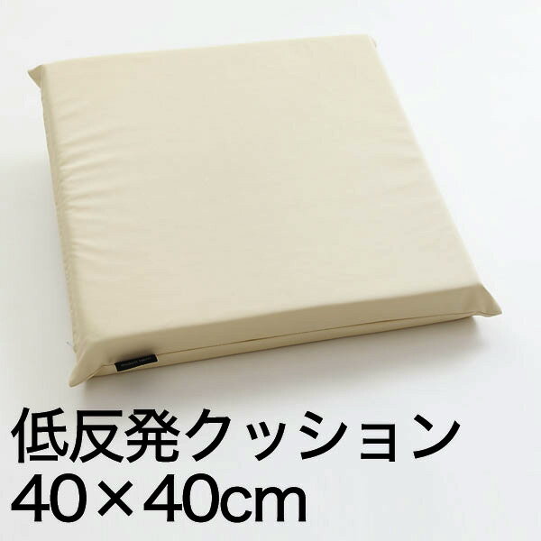 A Simple Leathe（シンプルレザー）　もっちり低反発ウレタンクッション（モダンカラーの合皮カバー付）　40×40×5cm【低反発クッション】【インテリア】【setsuden_bedding】