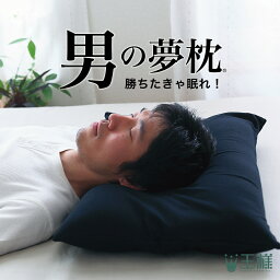 【楽天1位】 枕 男の夢枕 (専用 <strong>枕カバー</strong> 付き） 有名寝具ブランド王様シリーズから消臭機能が付いた 男性向け 枕 【枕 男 男性 旦那 夫 王様の夢枕 彼氏 父 お父さん 誕生日 低め 低い 日本製 ビーズ 安眠枕 洗える 加齢臭 汗 臭い まくら 父の日 プレゼント ギフト】【N】