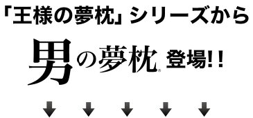 男の夢枕 （超極小ビーズ枕）消臭 枕カバー付き Wで消臭！当店人気No.1枕☆【ギフトラッピング無料】【送料無料】【日本製】【男性用 ビーズ 安眠 まくら 抗菌 洗える 枕 ウォッシャブル 横向き 仰向け プレゼント 王様の夢枕 父の日】【N】【4】【あす楽対応】