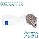 枕 | KANUDA(R)(カヌダ) ブルーラベル アレグロ シングルセット 頭をやさしく指圧する枕です(枕+ヘッドナップ)【送料無料/徒手法/指圧/支える/低反発/韓国/KOREA/ソ・ジソプ/ソ・ジソブ/まくら株式会社/ピロー/ナップ/3D Orthopedic Pillow】【N】