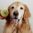 FLASH & GLOW ネオンボール【犬用おもちゃ・水に浮く・光る】 FLASH & GLOW ネオンボール【犬用おもちゃ・水に浮く・光る】