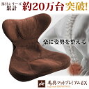 座椅子 姿勢矯正 美姿勢 骨盤矯正 腰痛 腰痛対策 プレゼン...
