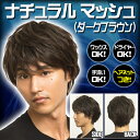 WIGGY RICHメンズ ナチュラルマッシュ(ダークブラウン) [メンズウィッグ ウィッグメン