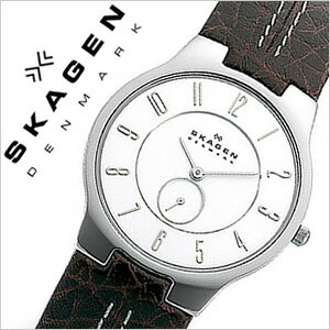 [レビューを書いて送料無料・特別価格！]今月限定スーパーセールアイテム！[お一人様1個限り]スカーゲン腕時計 SKAGEN時計 SKAGEN 腕時計 スカーゲン 時計 メンズ