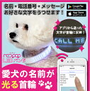 光る 首輪 LED ペット 犬用 リード ハーネス 散歩 ペット用品 LED BAND