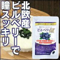【国産サプリ/ブルーベリー/ビルベリー/視力/読書/運動/PC/テレビ/旅行に】健康サポートセンターのビルベリーDX☆ブルーベリーの約5倍のアントシアニン☆瞳スッキリ☆
