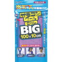 AION サモコンクールBIGタイプバイオレット(PTK007)