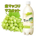 『麹醇堂』米マッコリ マスカット味 (750ml)| リキュール(発酵酒) お酒 発酵酒 伝統酒 韓国お酒\ふんわり香る爽やかなマスカットマッコリ/マラソン ポイントアップ祭