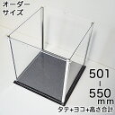 アクリルコレクションケース246BL 【オーダーサイズ】タテ...