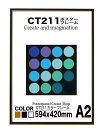 CT211カラーコレクションパネル A2 額縁ポスターフレーム594x420mm 額縁 ポスターフレーム【送料無料】