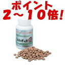 　　【ポイント2〜10倍】『玉ねぎの皮粒 450粒入』 玉葱 玉ねぎ タマネギがテストステロンを作る。 ためしてガッテン 　5000円（税別）以上で送料無料