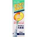 【第2類医薬品】カイゲン点鼻薬 30mL ×3 定