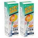 【第2類医薬品】カイゲン点鼻薬 30mL ×2 定