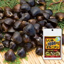 オルニチン しじみ サプリ★『 楽かん生活 96粒 メール便...
