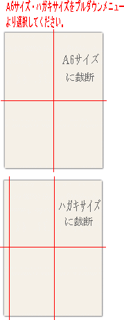 A6サイズに裁断カラーレーザー用紙PODグロスコート100A4 1ケース（250枚×4包）…...:paper-m:10004138