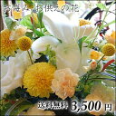 お供え お供えオーダーアレンジメント・花束3,500円 お悔み アレンジ 洋風 供花 仏事 法事 枕花 葬儀 命日 お盆 新盆 お彼岸 花 仏花 アレンジメント フラワー 花束 送料無料 即日 あす楽 白 即日発送 和風05P123Aug12お供え お悔み アレンジ 供花 仏事 法事 枕花 葬儀 命日 一周忌 お盆 新盆 お彼岸 花 洋風 和風 仏花 アレンジメント フラワー 花束 送料無料 即日 即日発送 あす楽 白 ペット