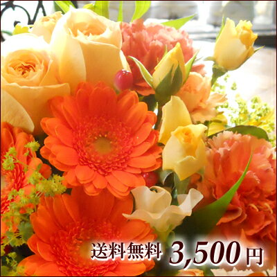 オーダーアレンジメント・花束3,500円 花束 生花 誕生日プレゼント ギフト　フラワーギフト 花 送料無料 誕生日 バラ プレゼント 電報 祝電 結婚式 結婚祝い 即日発送 