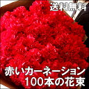 母の日【送料無料】迫力満点！赤いカーネーション100本の花束！スイーツセットも可♪ 花束 早期特...