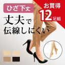 【送料無料】12足組 丈夫 伝線しにくい ひざ下丈 ストッキング