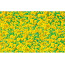 【取寄品】 菜の花ラウンドシート(10m) 【 POP デコレーション 店舗装飾品 ディスプレイ 飾り 販促品 】