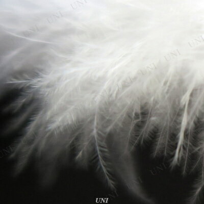 【あす楽】天使の輪 (白)♪ハロウィン 仮装 衣装 変装グッズ コスプレ 天使の輪 天使 エンジェル 05P09Jul16：パーティワールド
