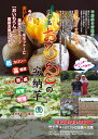 2013年度焼きイモ【種子島おいもらんど 安納芋