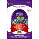 【6個で1個多くおまけ】【大感謝価格 】リフレ ブルーベリー&ルテイン 31粒