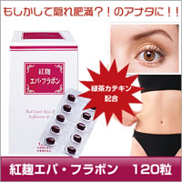 㥫ƥ۹⤷?!Υʥ!!ȹѡեܥ120γȯڹȹѡեܥ120γ(٥˥ѥեܥ)comc
