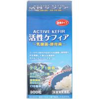 ★大爆発セール★【ファイン　活性ケフィア×2個セット】5250円以上送料無料、ポイント(お取り寄せ品、返品キャンセル不可)