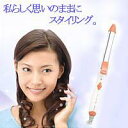 ★全品ポイント10倍★エントリー不要です♪2009年6月25日10時〜29日10時まで10P25Jun09★大特価セール★ヘアアイロン(ロールスタイラー) HI-25【dw美容家電】※5000円(税込5250円)以上購入で送料無料・代引手数料無料