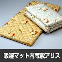 ʥݥ10ܡȥ꡼פǤ2009ǯ6510810ޤ0605PUP10JUۼޥå¢ߡꥹ5000(ǹ5250)ʾ̵̵