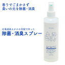  qɏoוiE労Ӊi SUISUI Scallop ہELXv[ 250ml