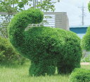大感謝価格『光の楽園ゾウ S 光触媒加工なし 2a5602-380』送料無料『物流倉庫出荷品。代引不可・同梱不可・返品キャンセル・割引不可』 新築祝い・開店祝い・誕生日などのギフトに。