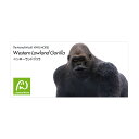 【メーカー直送・大感謝価格 】ニシローランドゴリラ ビニールモデル