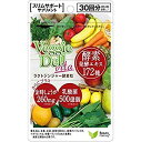 【5個で1個多くおまけ】【メール便】【大感謝価格】ベジーデルヴィータラクトジンジャー酵素粒プラス 120粒