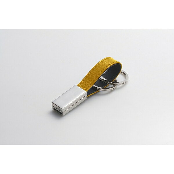 ★大感謝価格★【Smart Key Holder　プレーン　USBメモリーストラップ　4G…...:parusu:10356717