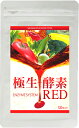 【極生酵素 エンザイムシステム RED 120粒】レッド 赤い 野菜酵素ダイエット 健康食品2個で送料無料代引無料5個で梱包時に1個多く入れてプレゼント★ポイント10P04Feb1310P13oct13_b【RCP】