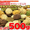 1個プレゼント企画あり【チアシード入り豆乳おからクッキー4種どっさり500g】4個で送料無料代引無料6個で梱包時に1個多く入れてプレゼントチアシードがどんどん水分で膨らみ ダイエットスイーツ デザート お菓子 焼き菓子★ポイント10P20Sep14