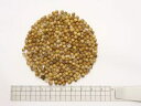 コリアンダー 1000g【割引不可、返品キャンセル不可品】