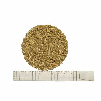 ディルシード 1000g【割引不可、返品キャンセル不可品】