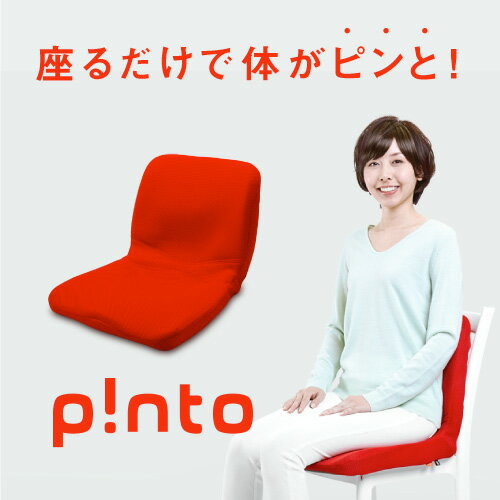 【送料無料】疲れていなかった自分に戻る　p!nto 全12色 正しい姿勢 習慣 クッション…...:pas-plus:10000000